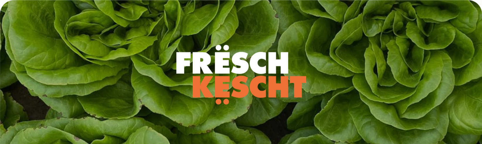 Read „FrëschKëscht“'s story