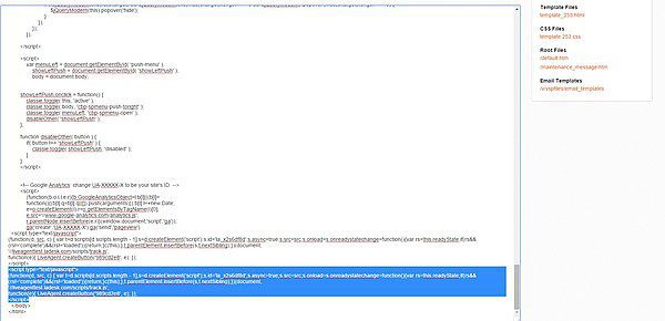 Tiesioginio pokalbio mygtukas, patalpintas „Volusion“ elektroninėje parduotuvėje