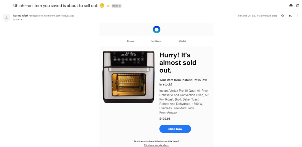 „Karmanow“ paskutinės galimybės el. laiškas